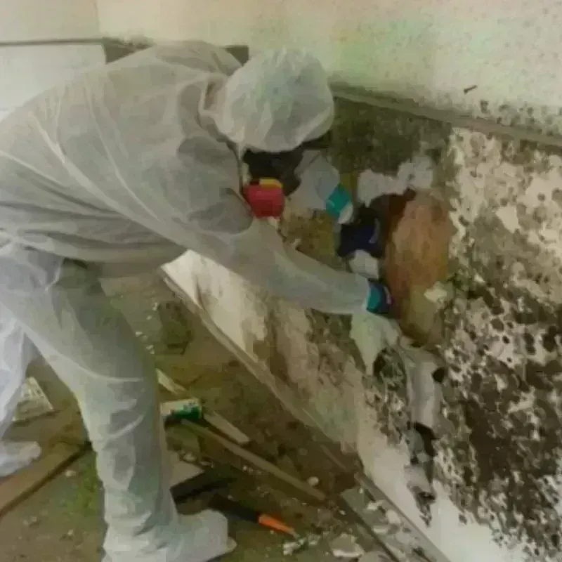 Mold Remediation and Removal in Byram, CT